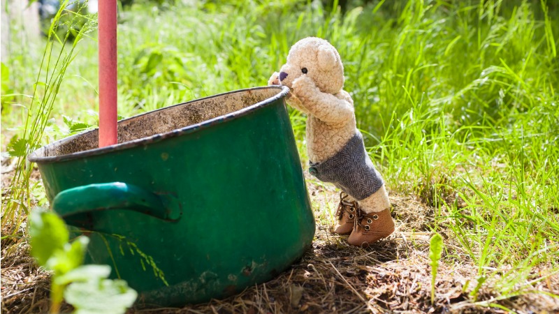 teddybeer wilt buiten regenwater opvangen in een groene pot